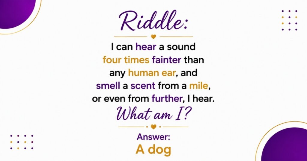 Hard Level Dog Riddle