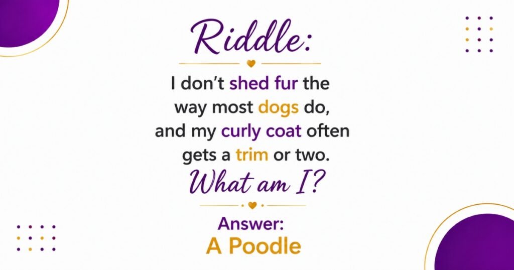 Medium Difficulty Dog Riddle