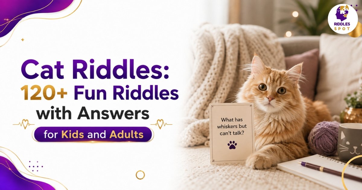 Cat Riddles