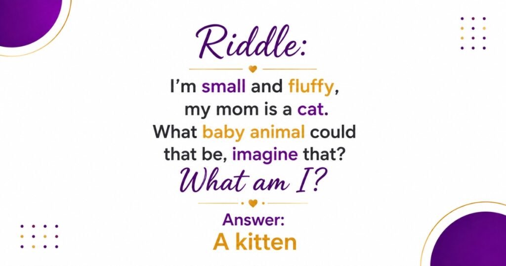 Cat Riddles