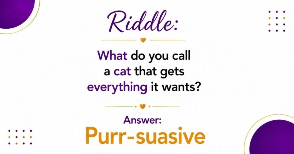 Funny Cat Riddle