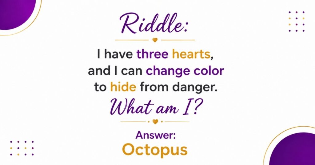 Riddles About The Ocean