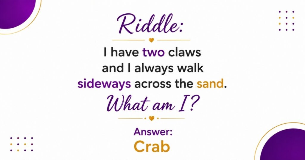 Sea Riddles
