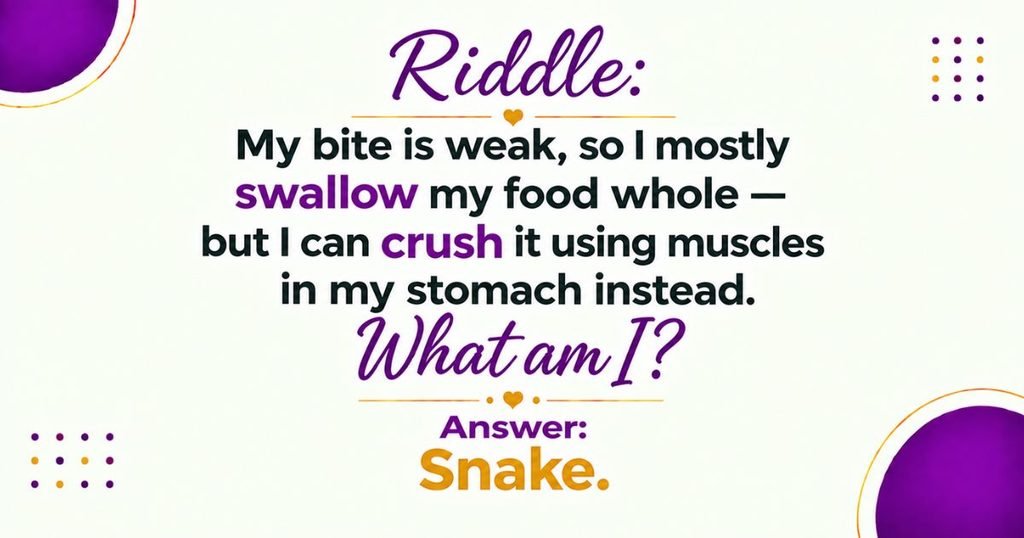 Hard Animal Riddles for Teens and Adults