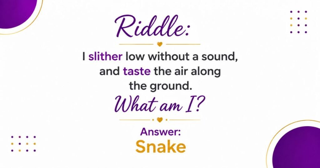 rhyming animal riddles